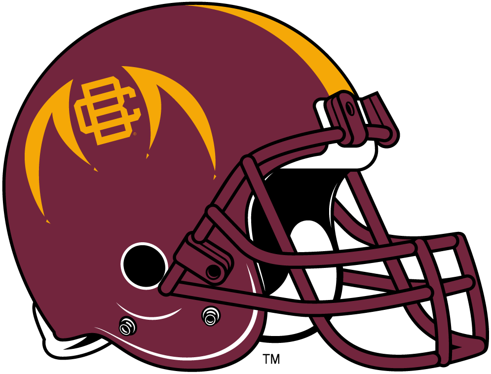 Bethune-Cookman Wildcats 2010-2015 Helmet Logo v2 DIY iron on transfer (heat transfer)
